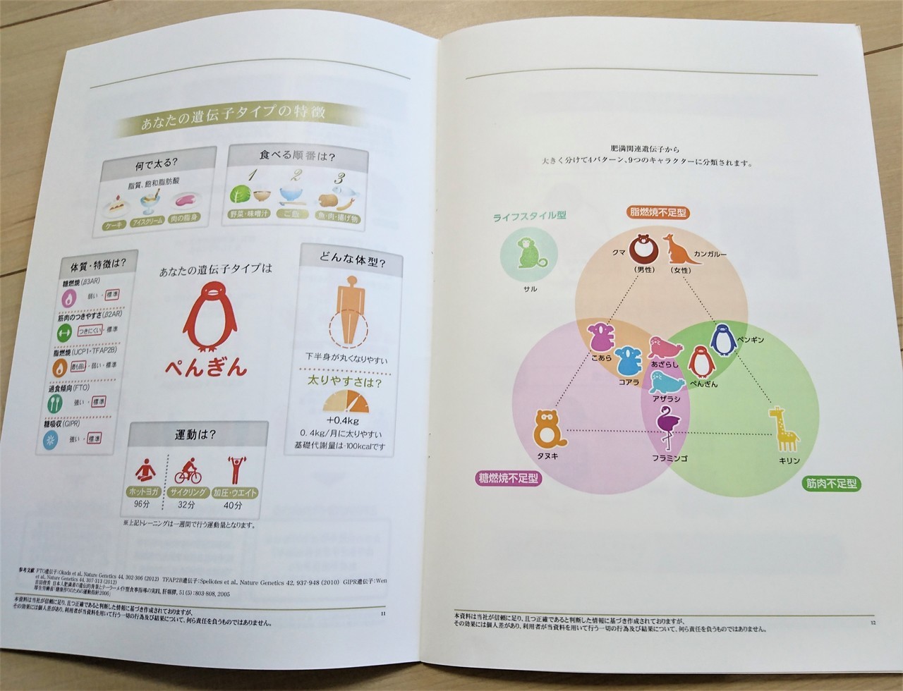 H＆BP遺伝子検査の検査結果書類（体質分析）の中身の写真