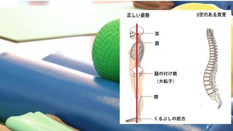 運動の効果を最大限に引き出す「体リセット」とはのイメージ画像