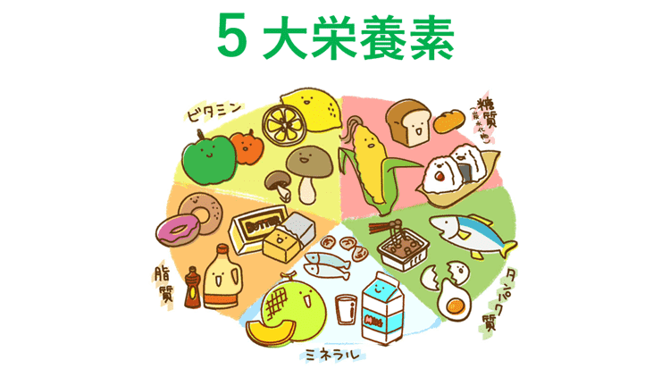 5大栄養素