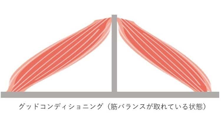 筋肉がグッドコンディショニング状態の写真